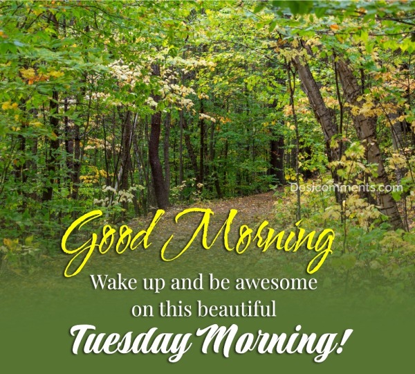 Good Morning Tuesday Image