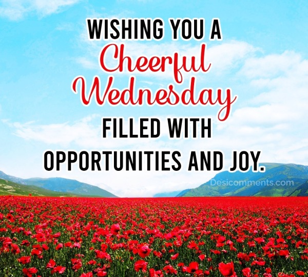 Cwishing You A Cheerful Wednesday