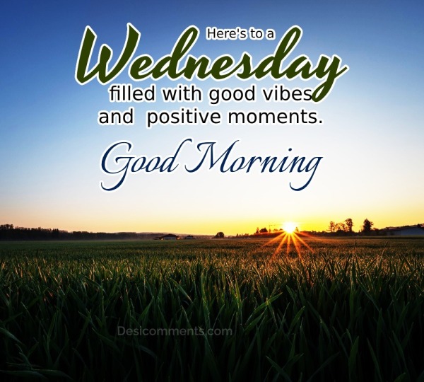 Wednesday filled with good vibes