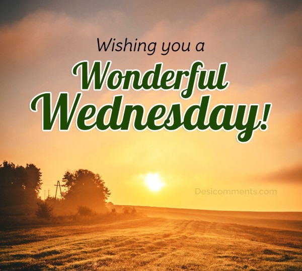 Wishing You A Wonderful Wednesday
