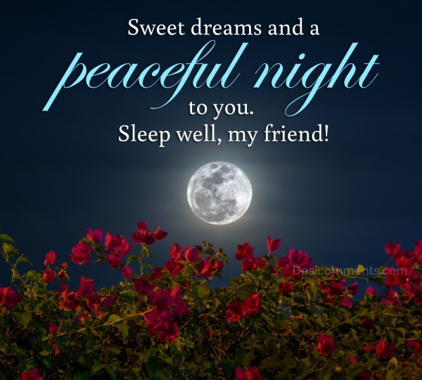Sweet Dreams And A Peaceful Night