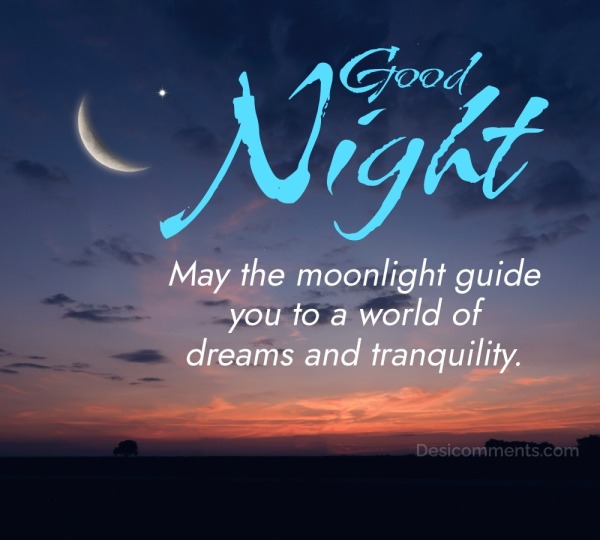 Good Night! May The Moonlight