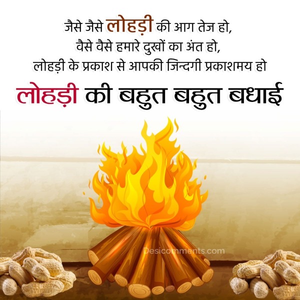 Lohri Image