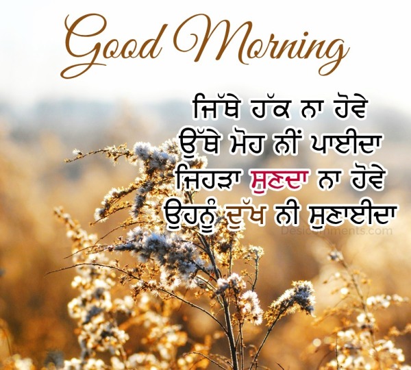 Best Good Morning Punjabi Status Picture