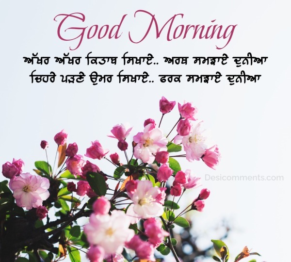 Beautiful Good Morning Message Picture - DesiComments.com