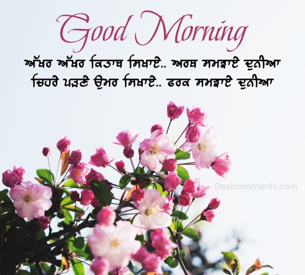 Beautiful Good Morning Message Picture