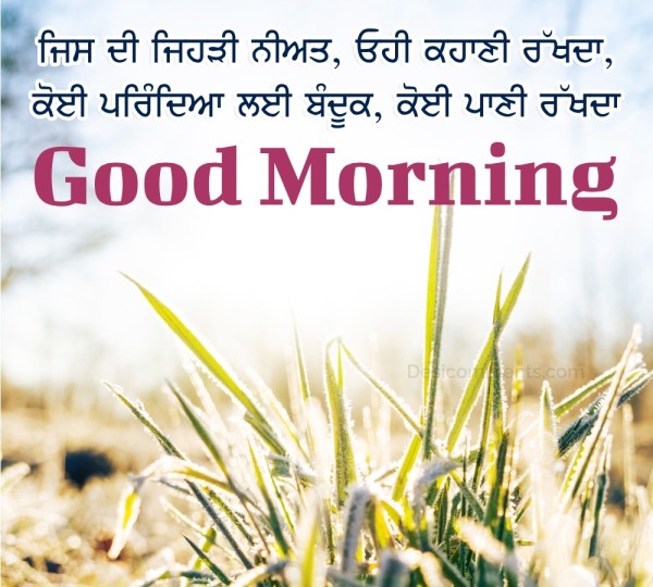 Best Good Morning Punjabi Status Pic