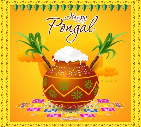 Pongal Pic