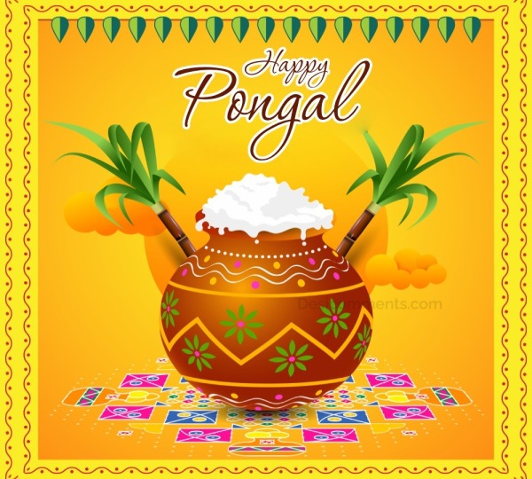 Happy Pongal