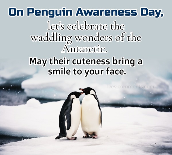 On Penguin Awareness Day, Let's Celebrate