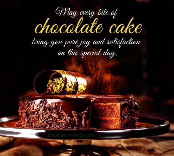Chocolate Cake Day Photo
