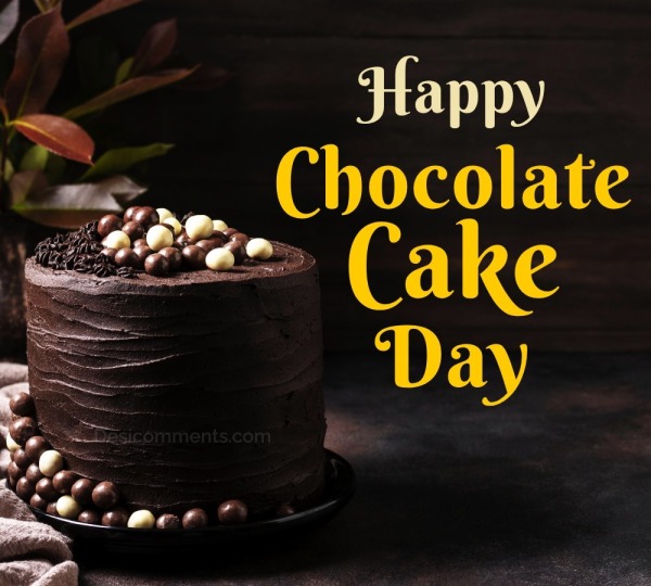 Happy Chocolate Cake Day Pic