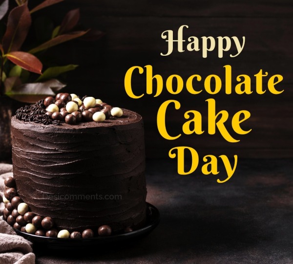 Chocolate Cake Day Photo