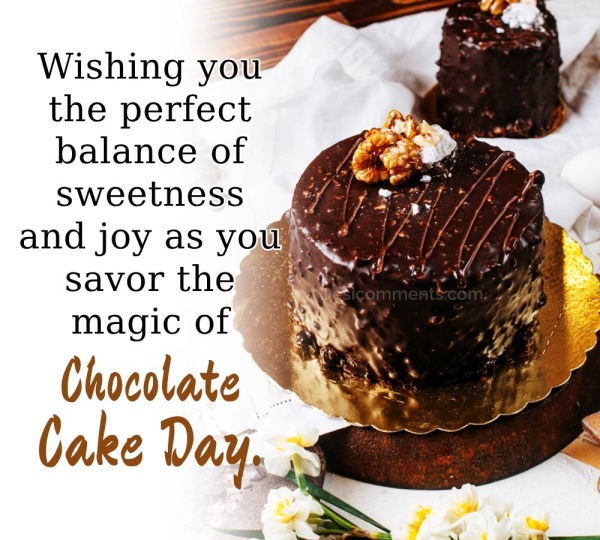 Chocolate Cake Day Pic