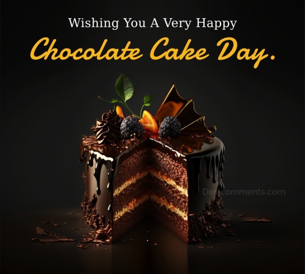 Chocolate Cake Day Photo