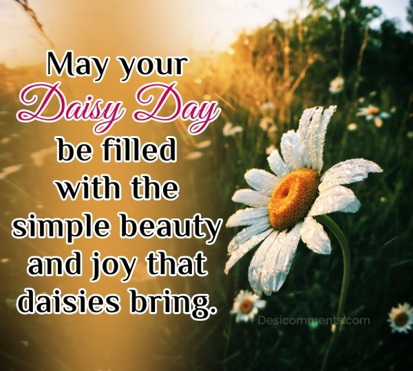 May Your Daisy Day Be Filled With The Simple Beauty