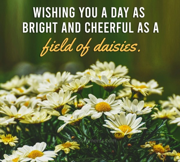 Wishing You A Day As Bright And Cheerful