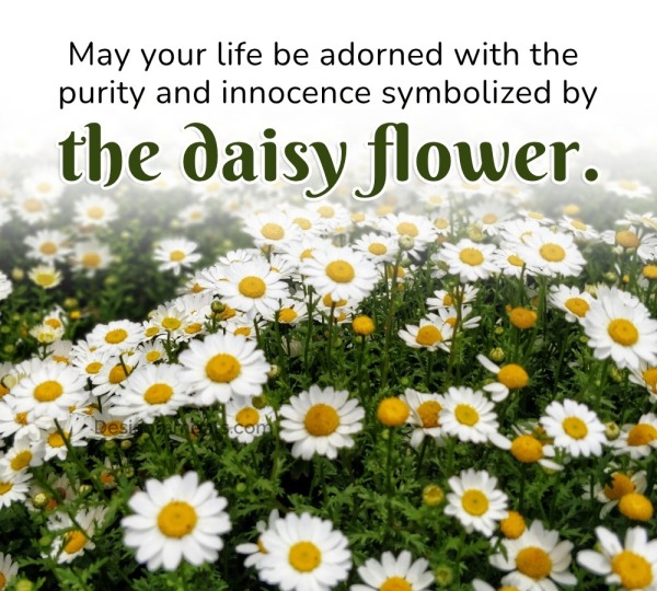 May Your Life Be Adorned With The Purity And Innocence