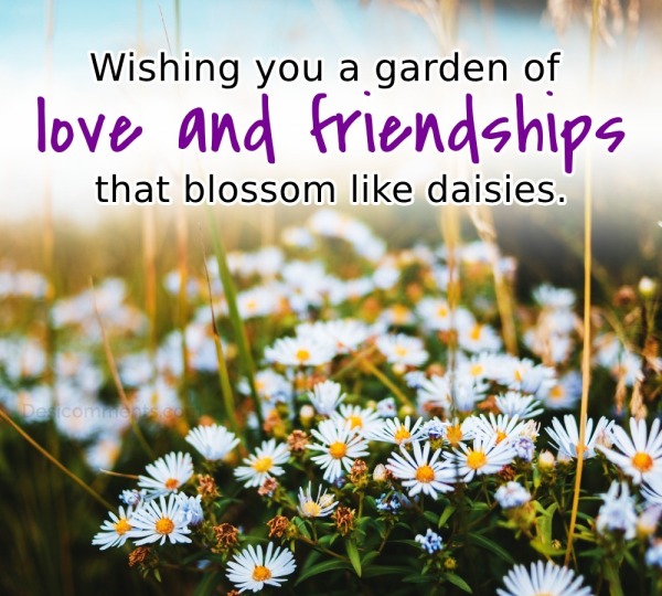 Wishing You A Garden Of Love And Friendships