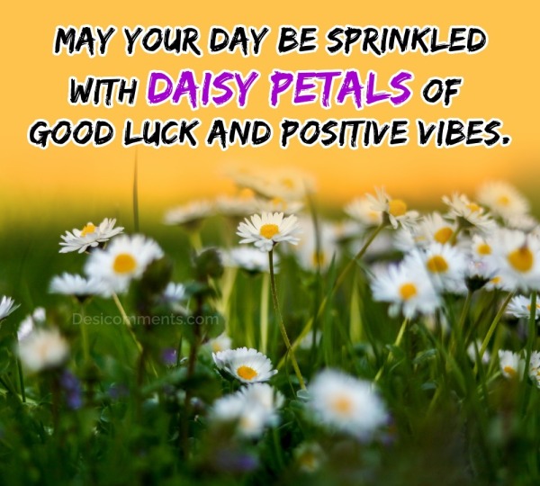 May Your Day Be Sprinkled With Daisy Petals Of Good Luck