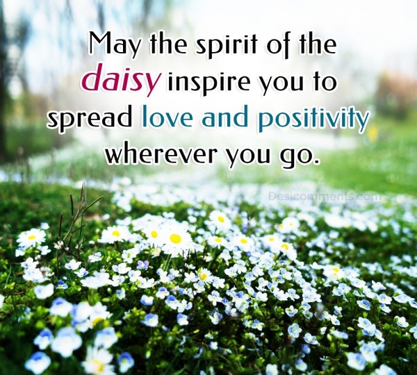 May The Spirit Of The Daisy Inspire You To Spread Love