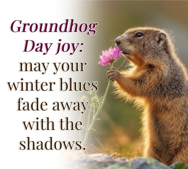 May Your Winter Blues Fade Away With The Shadows