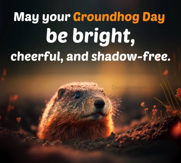 May Your Groundhog Day Be Bright