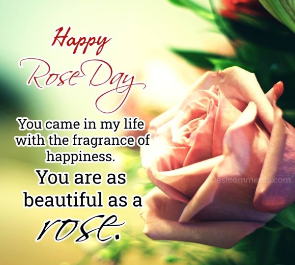 You Are As Beautiful As A Rose, Happy Rose Day