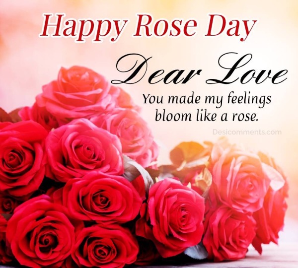 Happy Rose Day Dear Love Pic