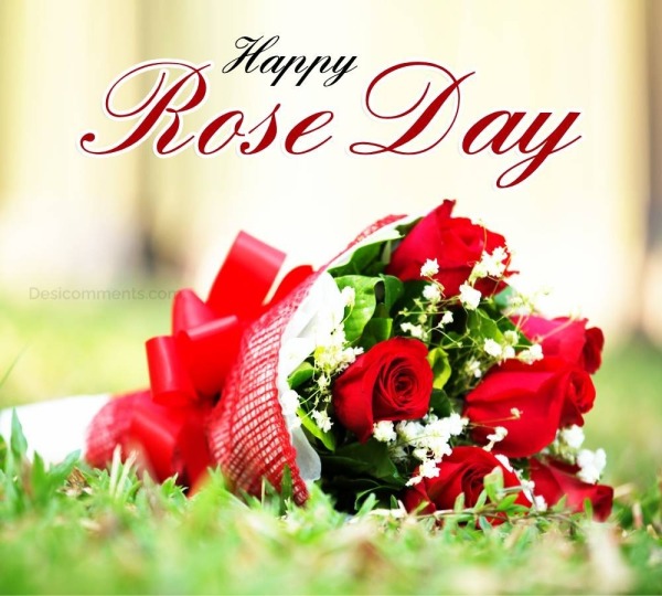 Happy Rose Day Image