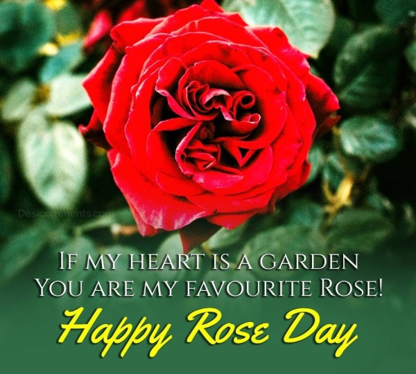 If My Heart Is A Garden You Are My Favourite Rose!