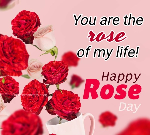 You Are The Rose Of My Life!
