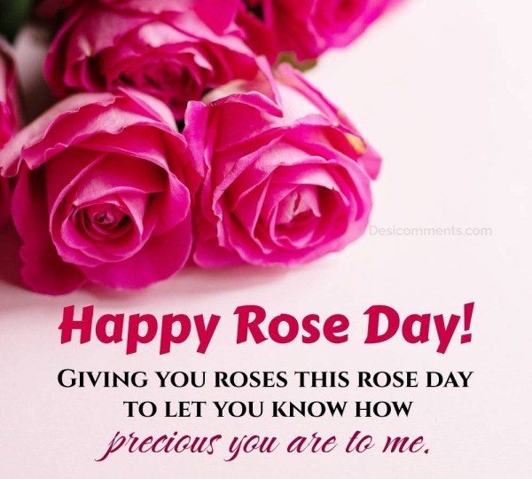 Giving You Roses This Rose Day To Let You Know