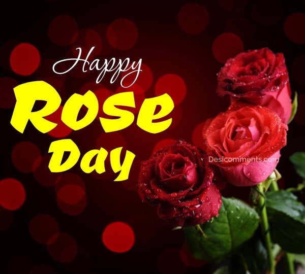 Happy Rose Day Picture