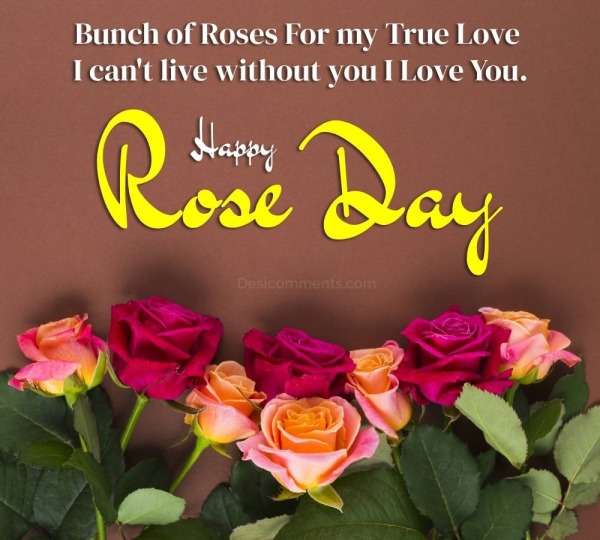 Happy Rose Day Pic