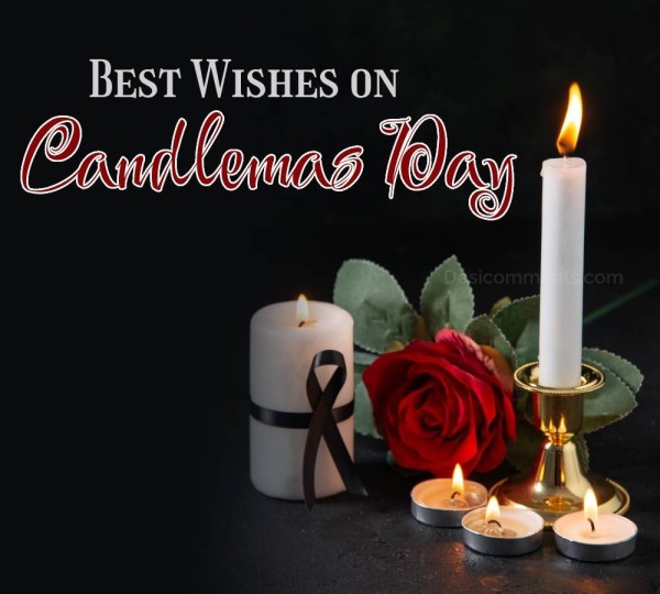 Best Wishes On Candlemas Day