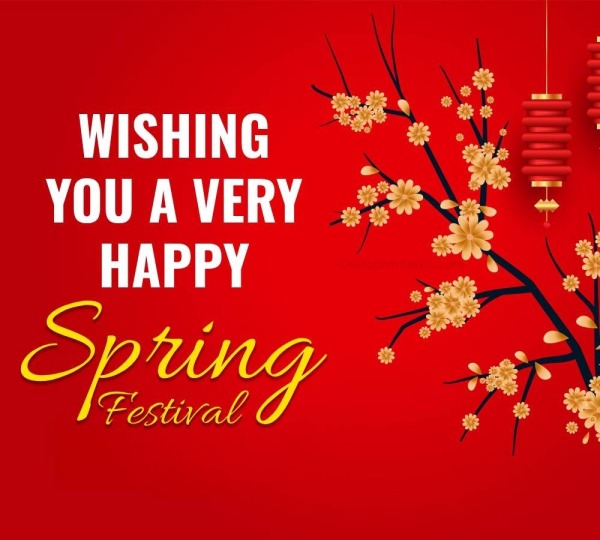 Spring Festival Photo