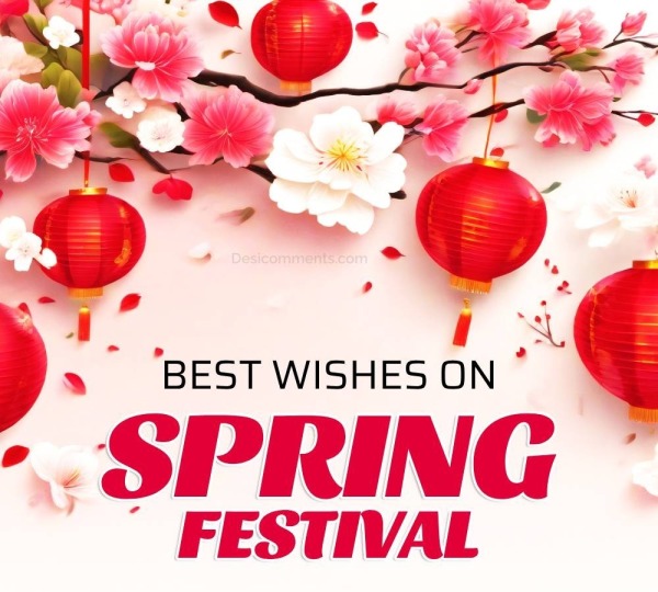 Best Wishes On Spring Festival Picture
