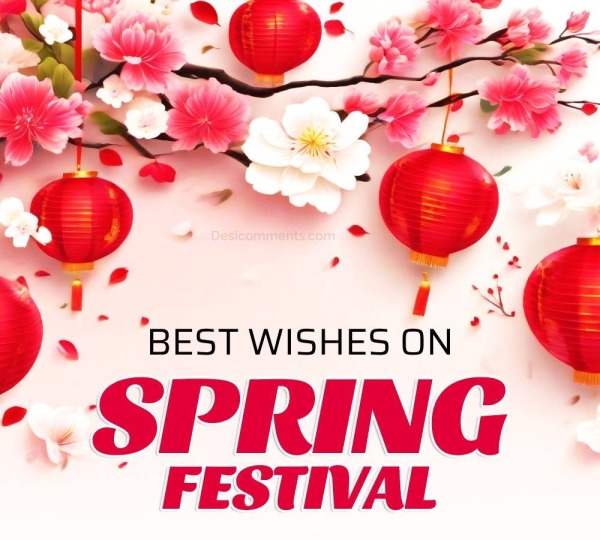 Spring Festival Picture