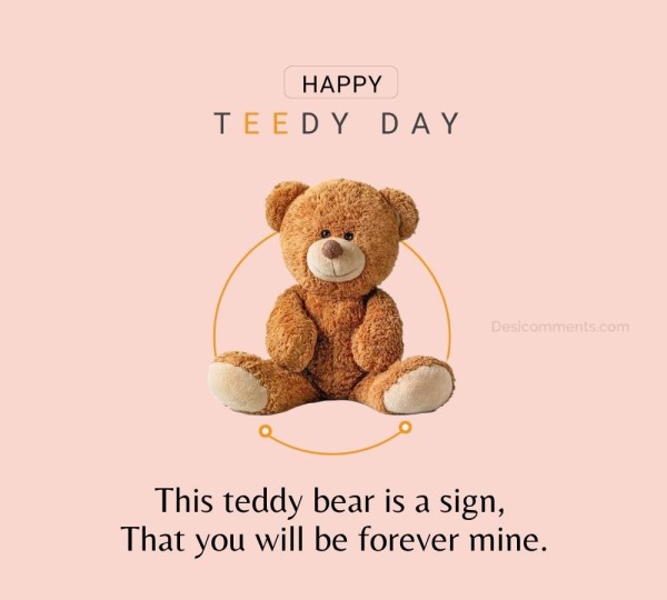 This Teddy Bear Is A Sign, That You Will Be Forever Mine