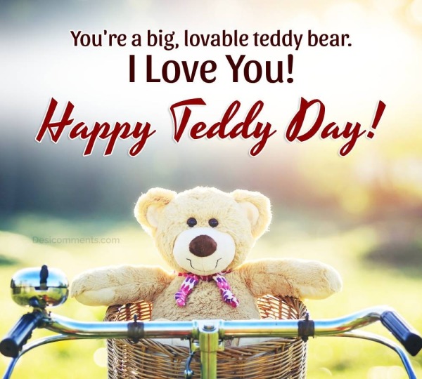 You're A Big, Lovable Teddy Bear. I Love You!