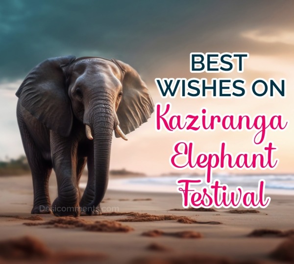 Best Wishes On Kaziranga Elephant Festival