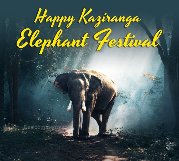 Happy Kaziranga Elephant Festival