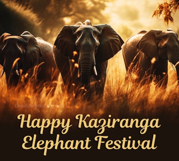 Happy Kaziranga Elephant Festival Picture