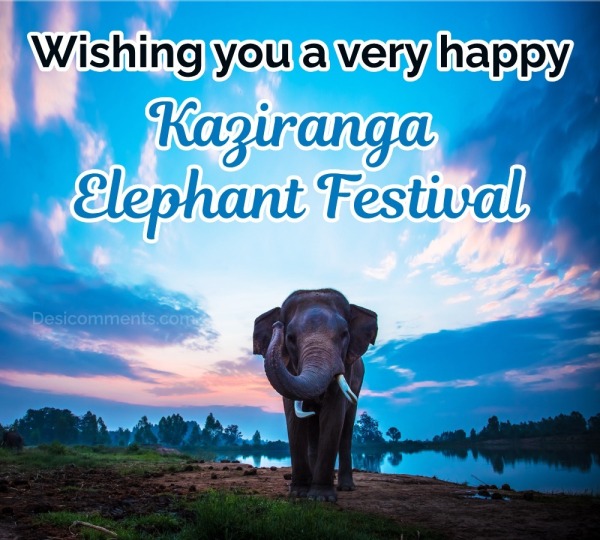 Wishing You A Very Happy Kaziranga Elephant Festival  Pic