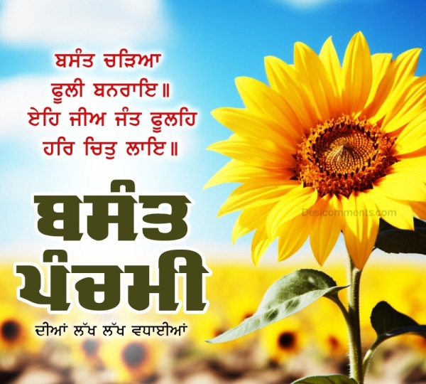 Basant Panchami Pic