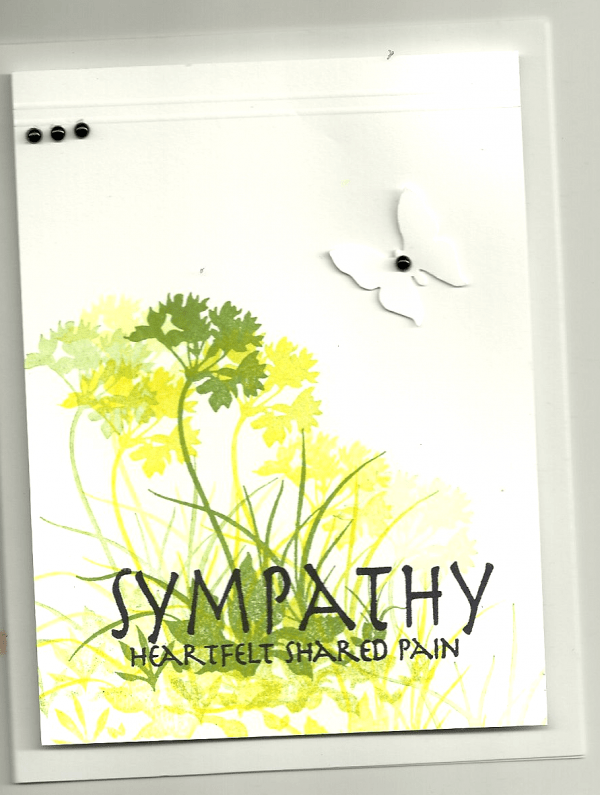 Sympathy  Heartfelt Shared Pain