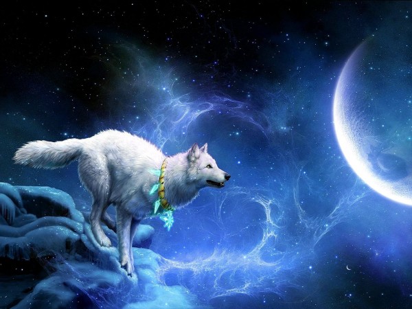Wolf – Fantasy