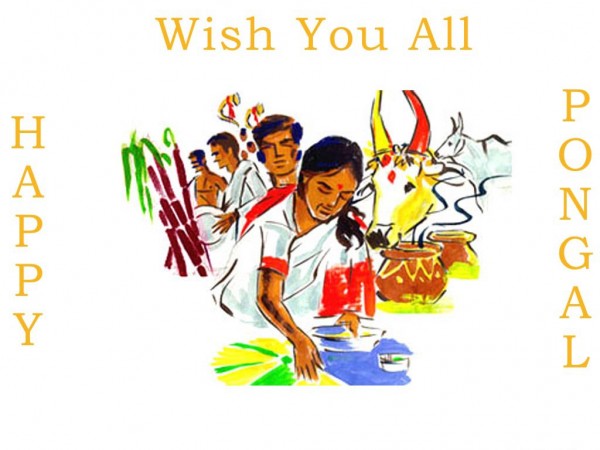 Wish You All Happy Pongal