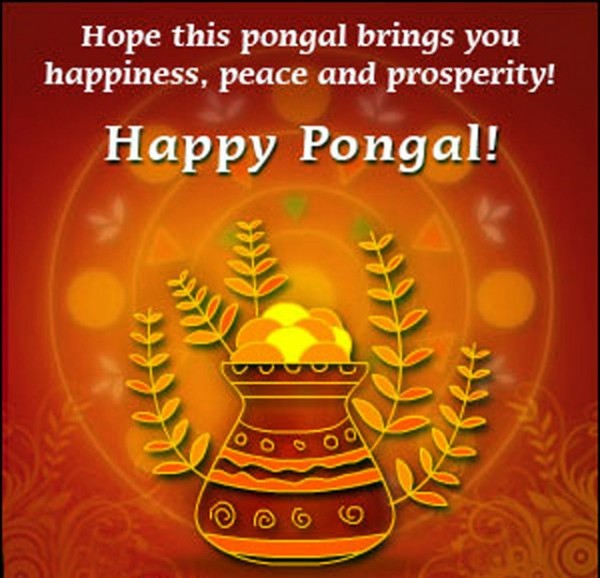 Happy Pongal